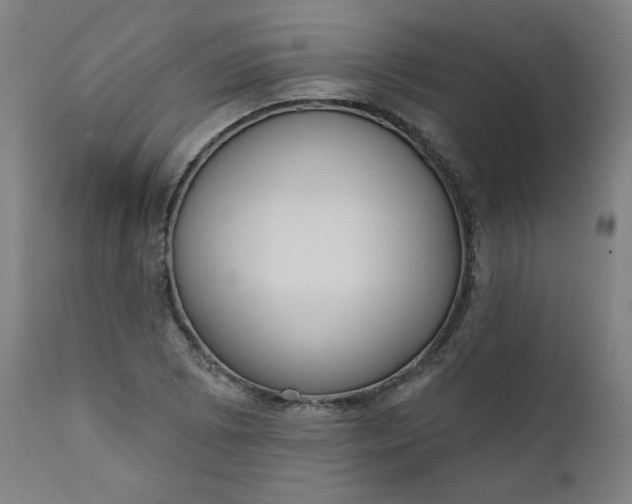 X0000111611073200907311133