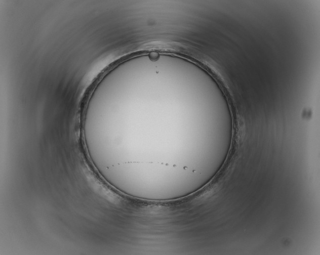 X0000111611075200907311133