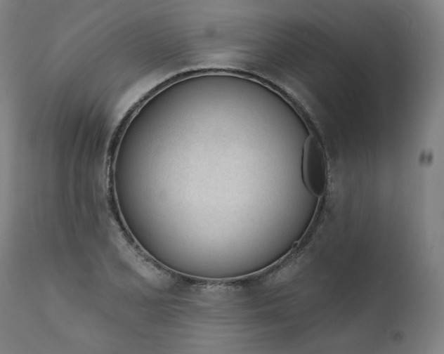 X0000111611077200907311133