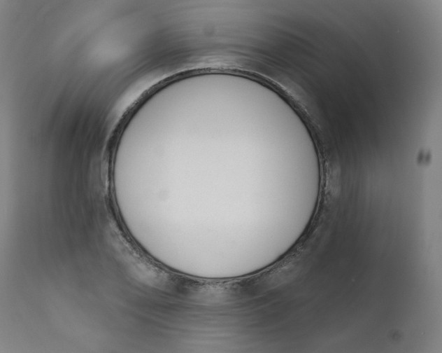 X0000111611078200907311133