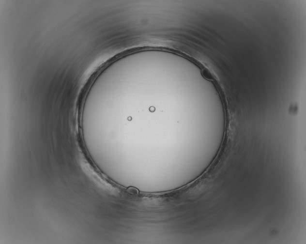 X0000111611080200907311133