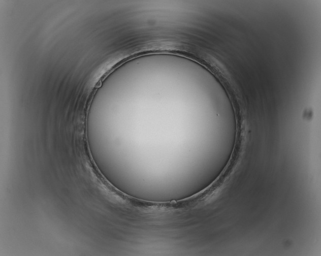 X0000111611081200907311133