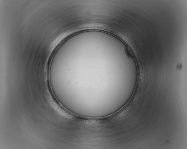 X0000111611082200907311133