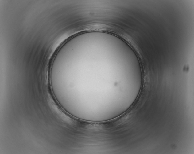 X0000111611083200907311133