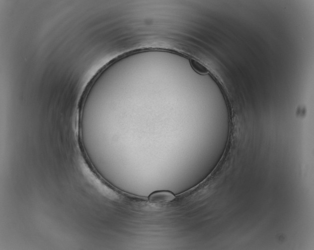 X0000111611084200907311133