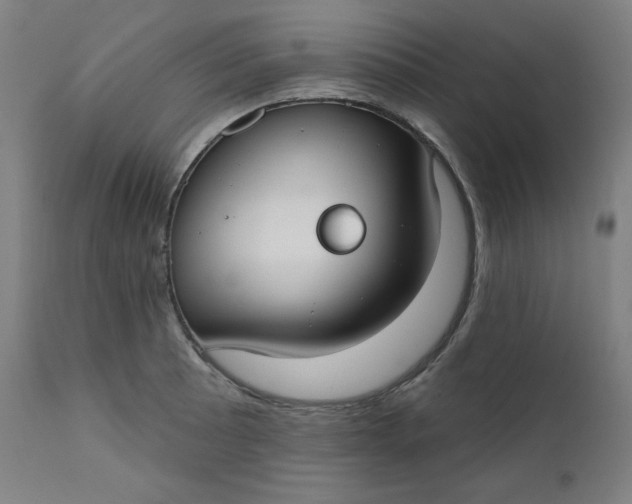X0000111611089200907311133