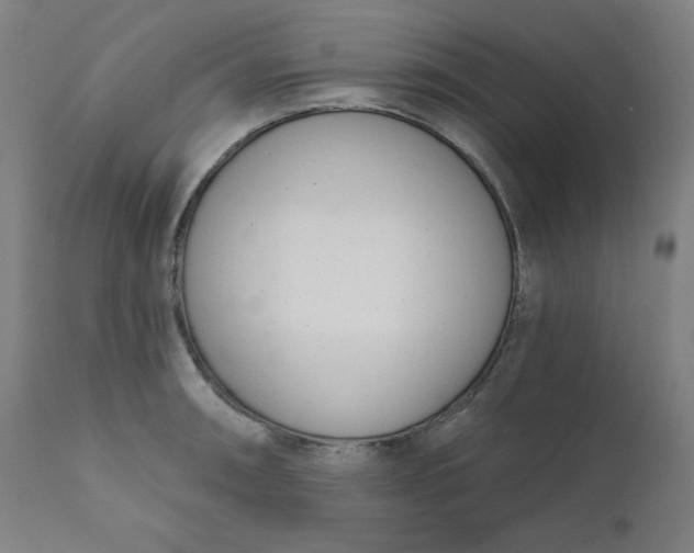 X0000111611090200907311133