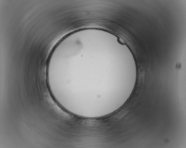 X0000111611092200907311133