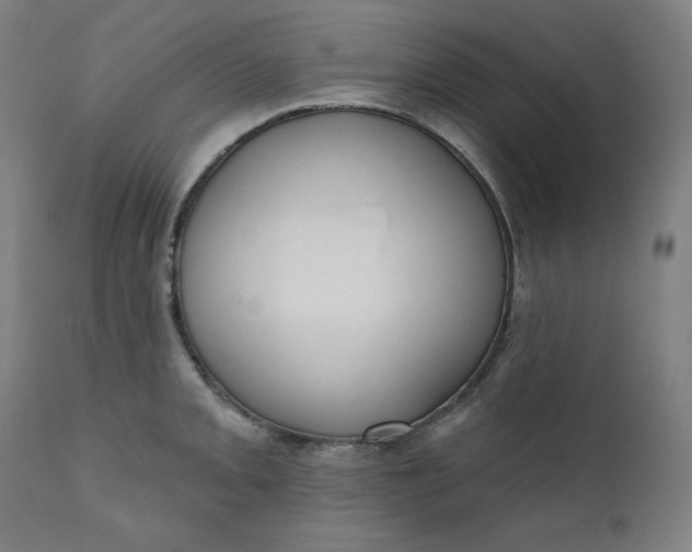 X0000111611093200907311133