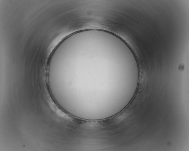 X0000111611094200907311133