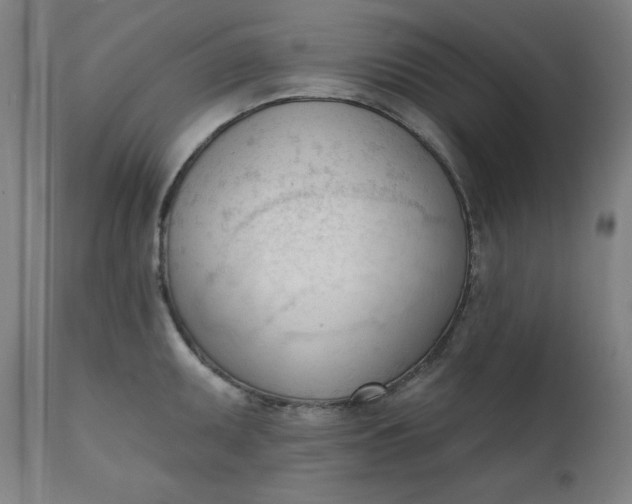 X0000111611095200907311133