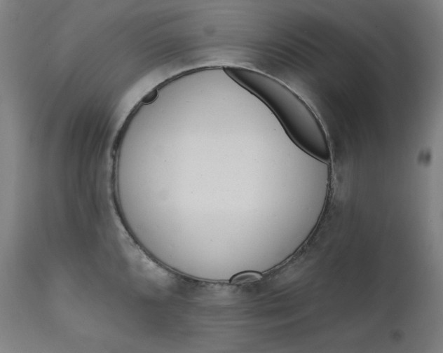 X0000111611096200907311133