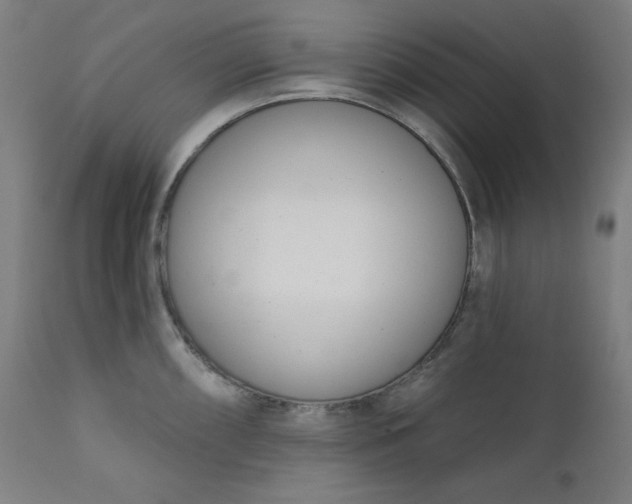 X0000111611098200907311133