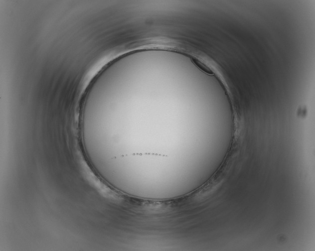 X0000111611099200907311133