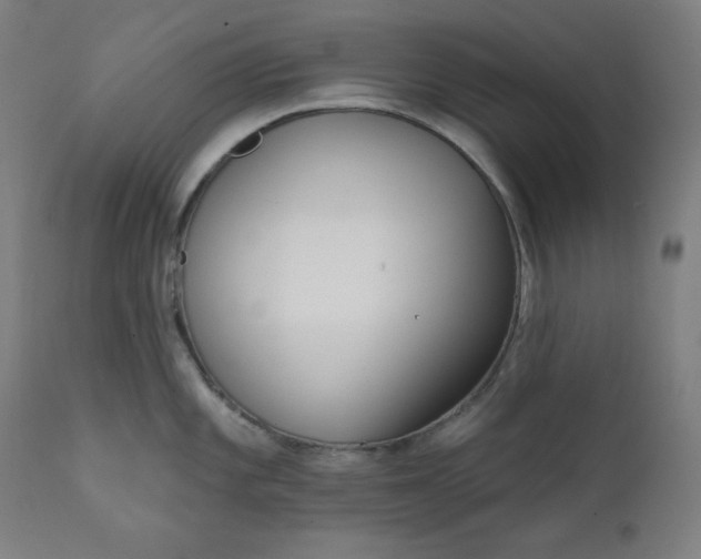 X0000111611101200907311133
