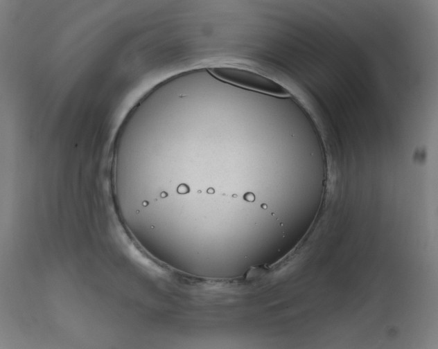 X0000111611102200907311133