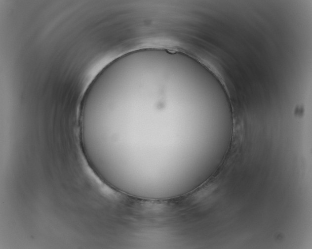 X0000111611103200907311133