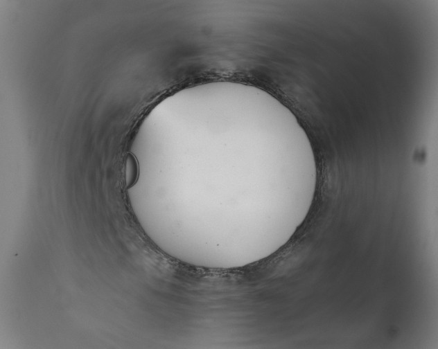 X0000111611105200907311132