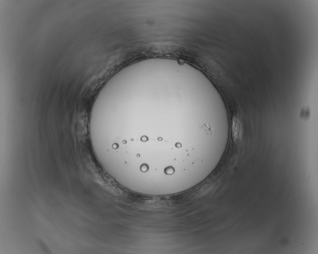 X0000111611107200907311132