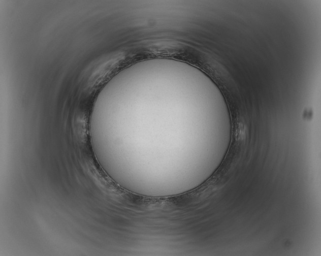 X0000111611108200907311132