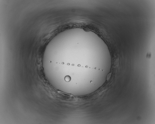 X0000111611109200907311132