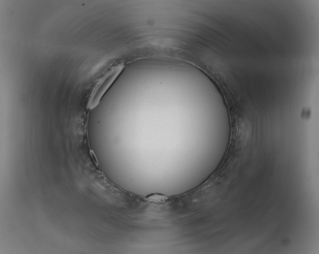 X0000111611110200907311132
