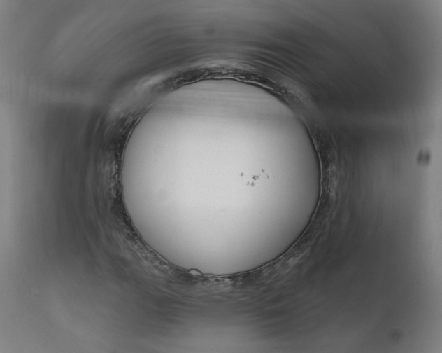 X0000111611111200907311132