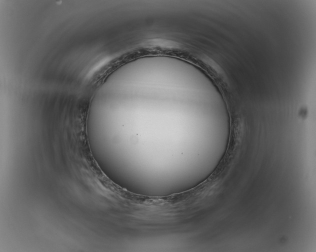 X0000111611112200907311132