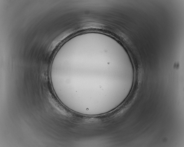 X0000111611113200907311132