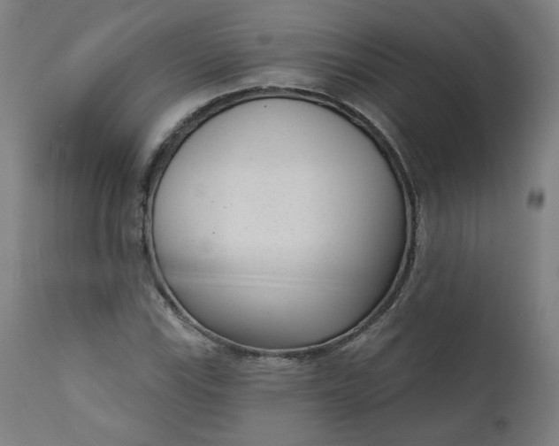 X0000111611115200907311133