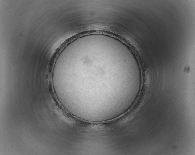 X0000111611117200907311133