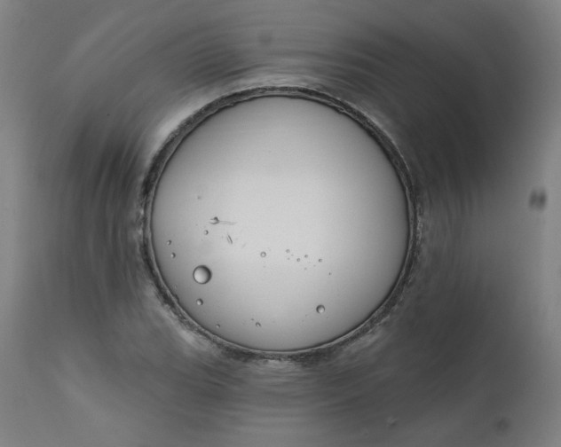 X0000111611119200907311133