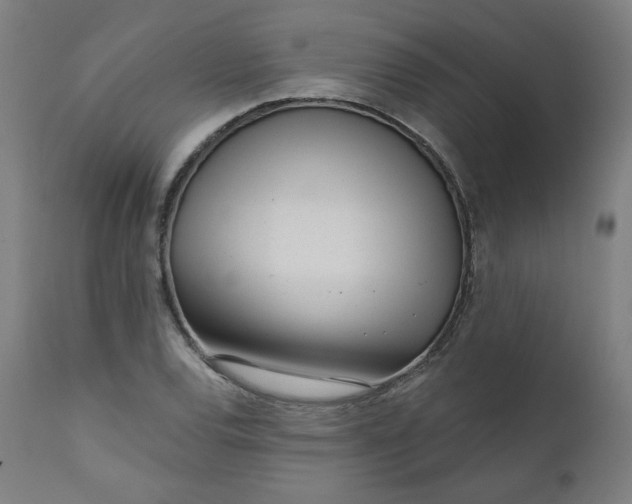 X0000111611120200907311133