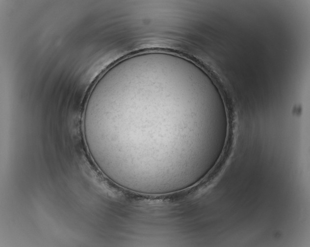 X0000111611121200907311133