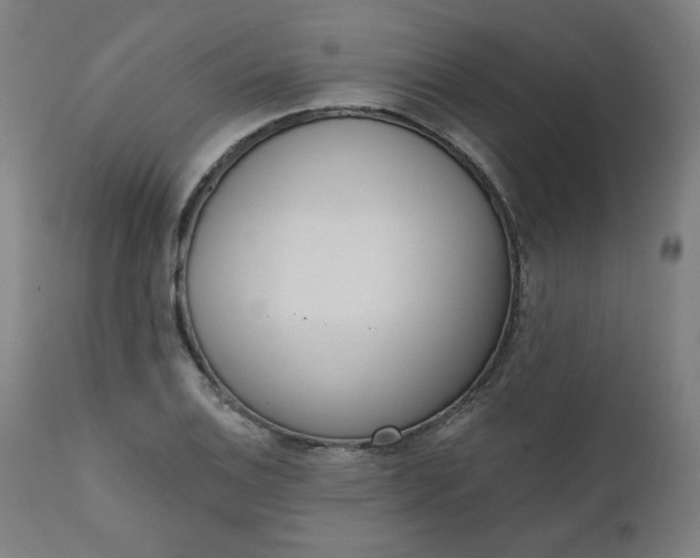 X0000111611124200907311133