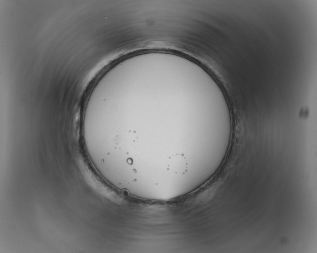 X0000111611126200907311133