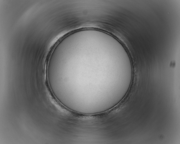 X0000111611127200907311133