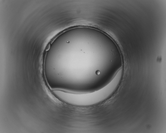 X0000111611128200907311133