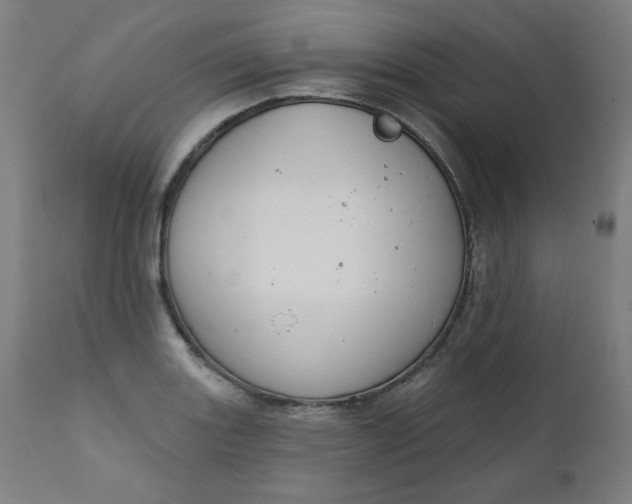 X0000111611131200907311133