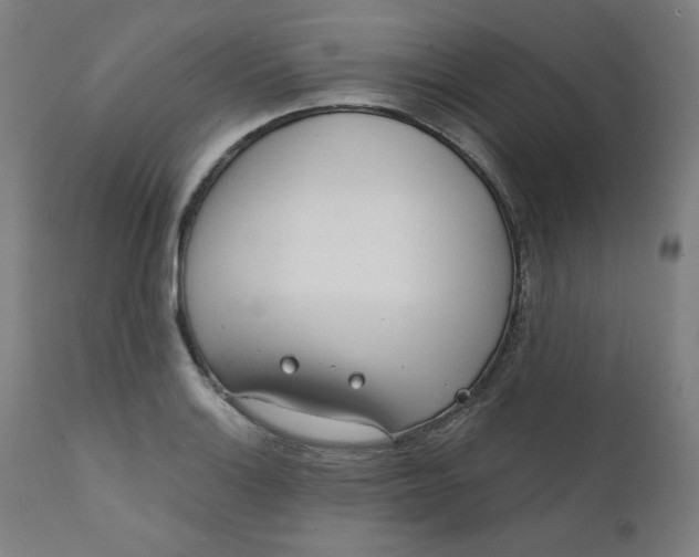 X0000111611132200907311133