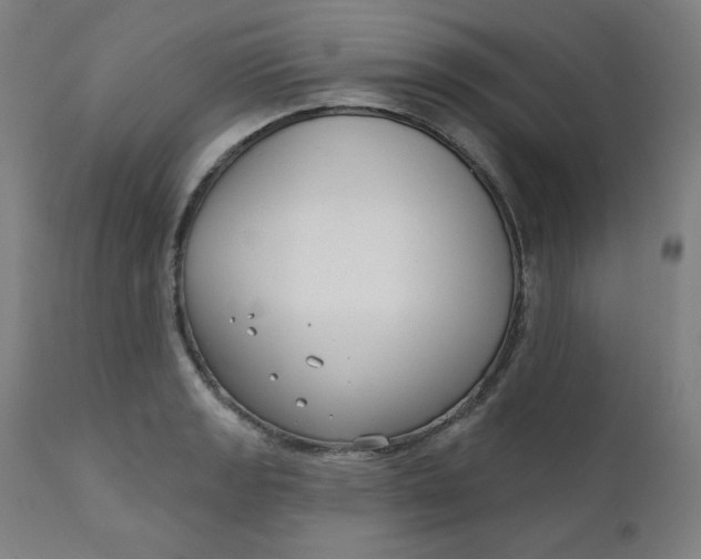 X0000111611133200907311133