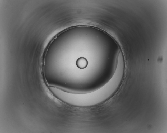 X0000111611136200907311133
