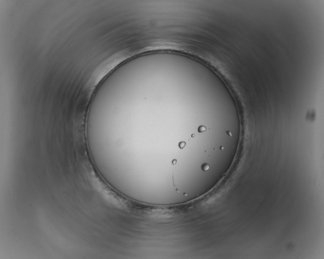 X0000111611137200907311133
