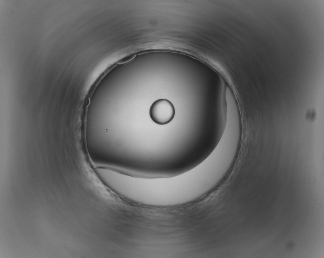 X0000111611138200907311133