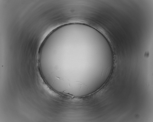 X0000111611140200907311133
