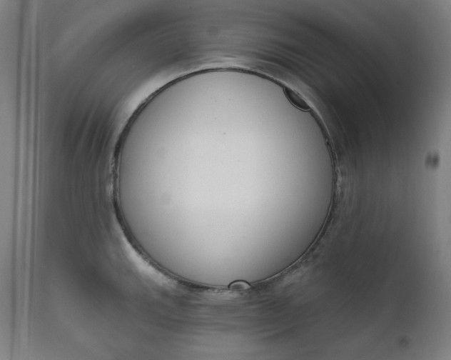 X0000111611143200907311133