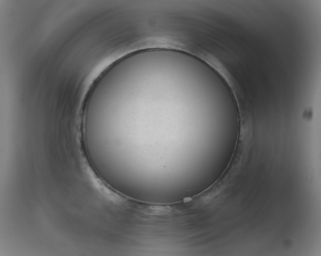 X0000111611144200907311133