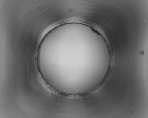 X0000111611146200907311133