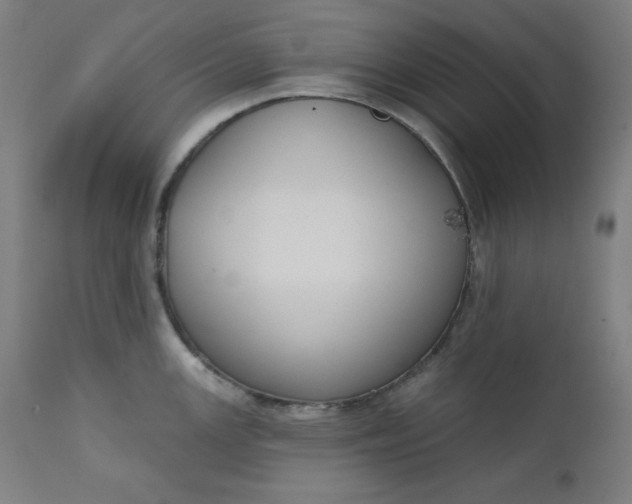 X0000111611147200907311133