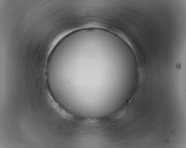 X0000111611148200907311133